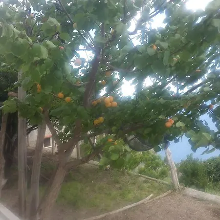 Casa Nel Limoneto