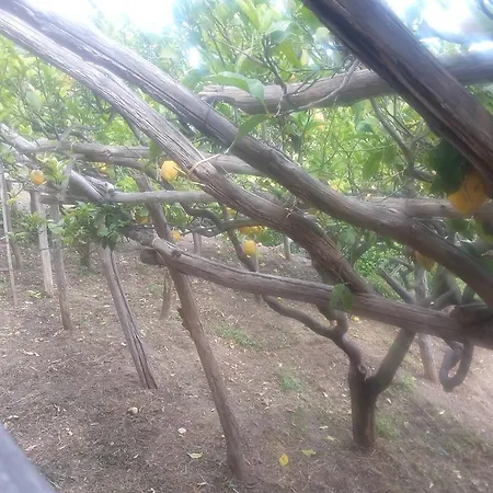 Casa Nel Limoneto Дом отдыха